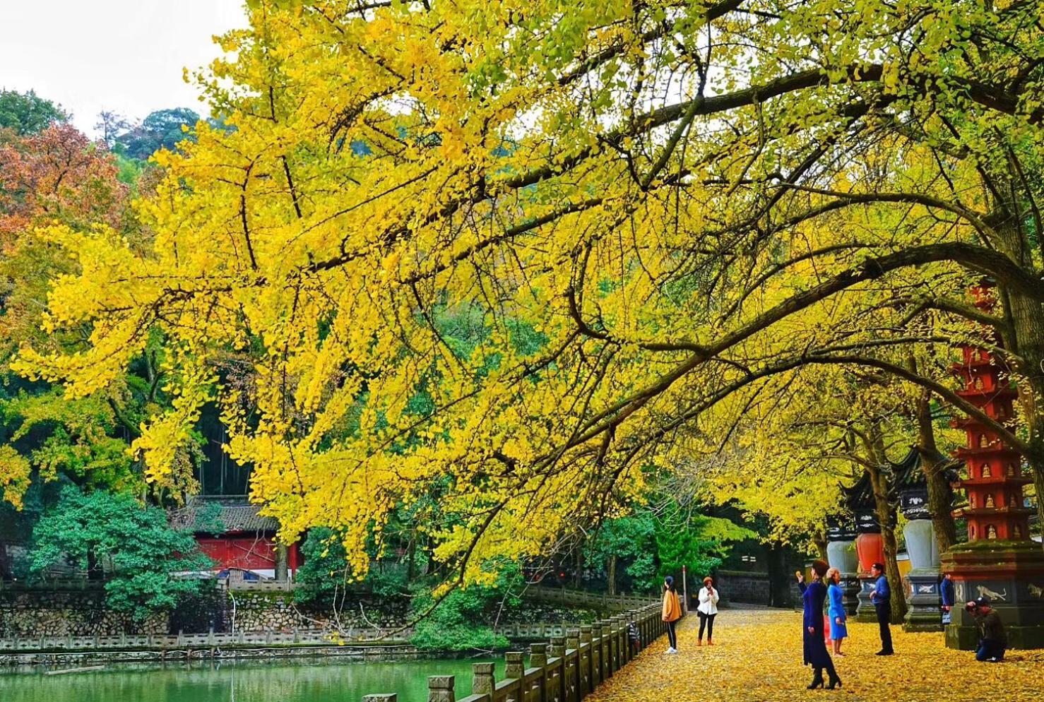 فندق Shangri-La Ningbo - The Three Rivers Intersection المظهر الخارجي الصورة